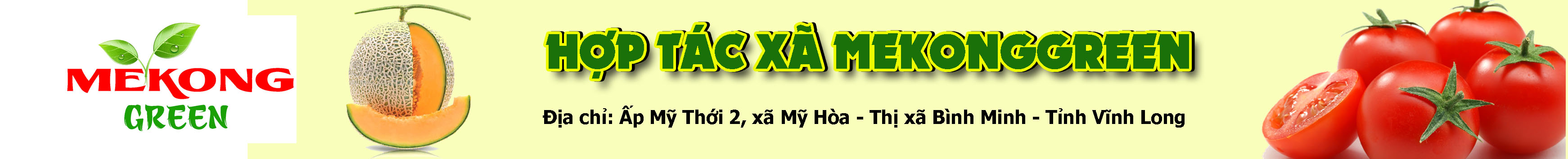 HTX Mekong Green